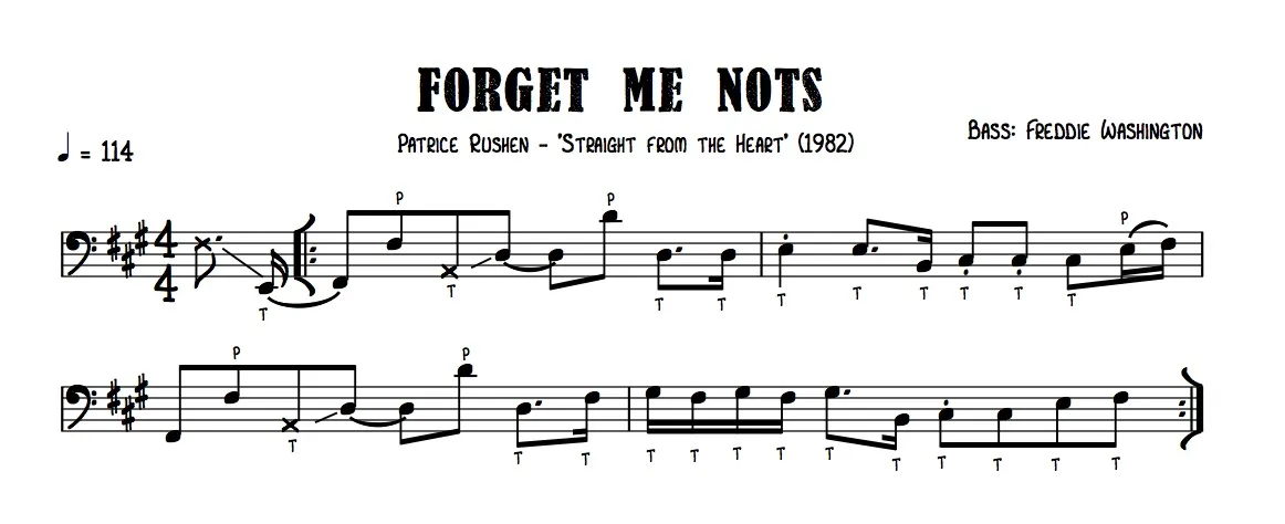 GOTW Forget Me Nots